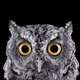 Illustration for article titled Take A Moment To Marvel At These Unusually Intimate Owl Portraits